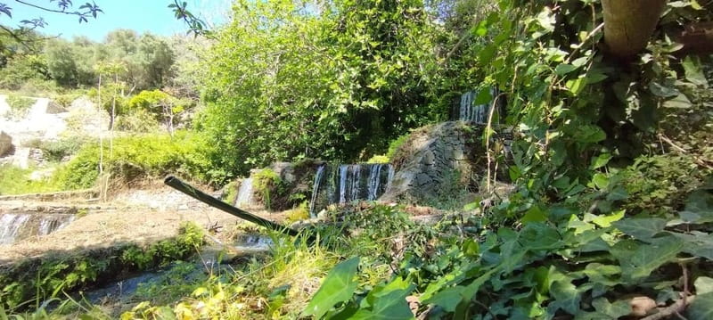 From Chania: Lake Kournas & Argiroupoli Springs Guided Tour - Is the eight-hour schedule good value?