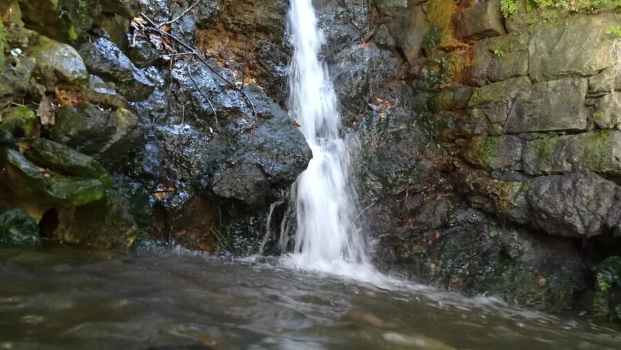 From Chania: Lake Kournas & Argiroupoli Springs Guided Tour - Who should book this tour?