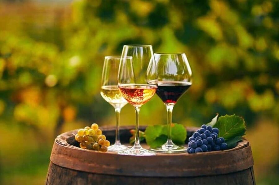 From Chania: Olive Oil, Wine, Cheese & Honey Tasting Tour - Why this seven-hour food tour works