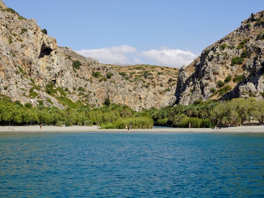 From Chania: Preveli Palm Beach Day Tour - Walking the palm forest and river pools