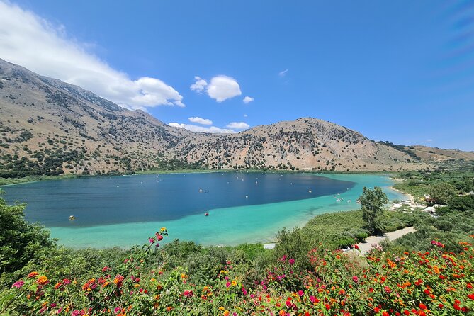 From Chania Private half day Winery-Olive factory-Kournas lake - Vryses turns olive oil into a lesson
