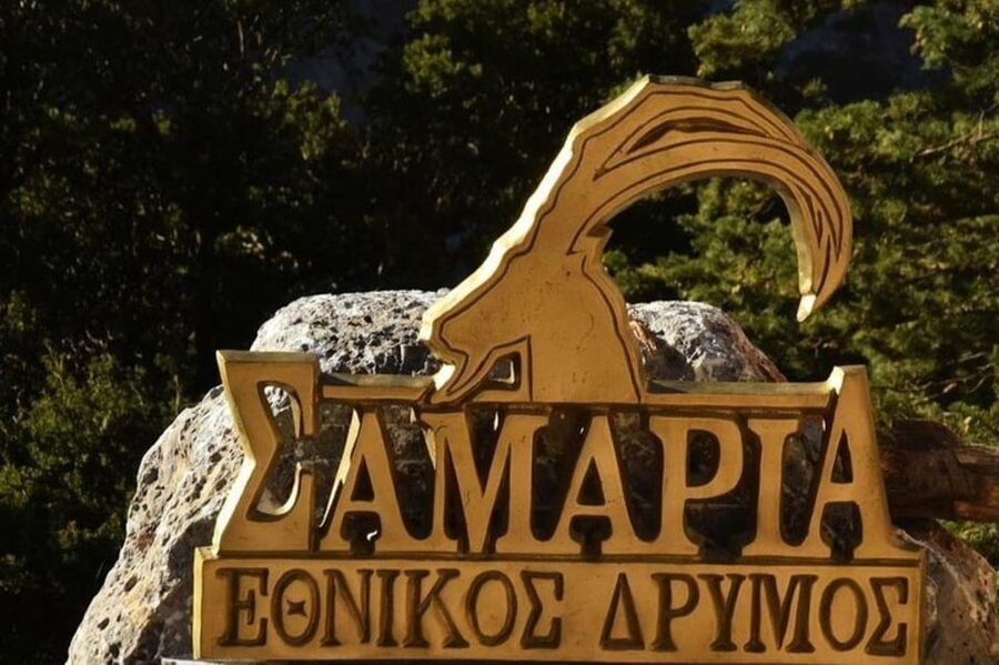 From Chania: Samaria Gorge with Professional Hiking Guide - Pacing the 16 km descent