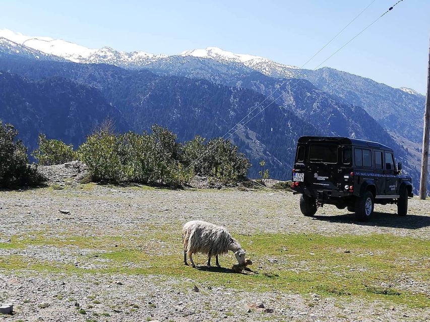 From Chania: White Mountains Land Rover Safari - The Land Rover ride and the rough-road reality
