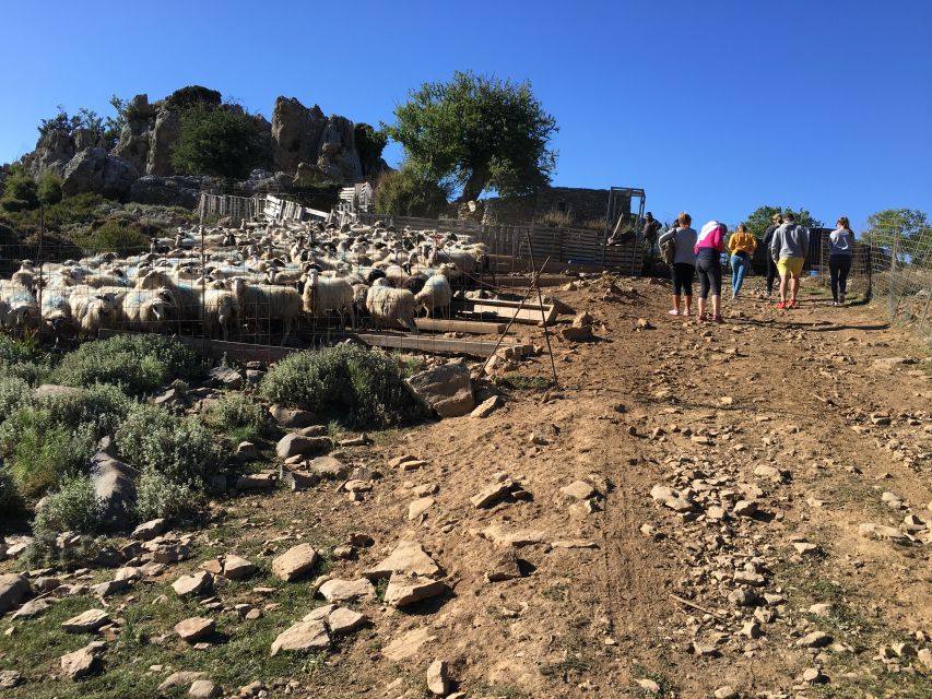 From Chania: White Mountains Land Rover Safari - Therisso and a three-course Cretan lunch