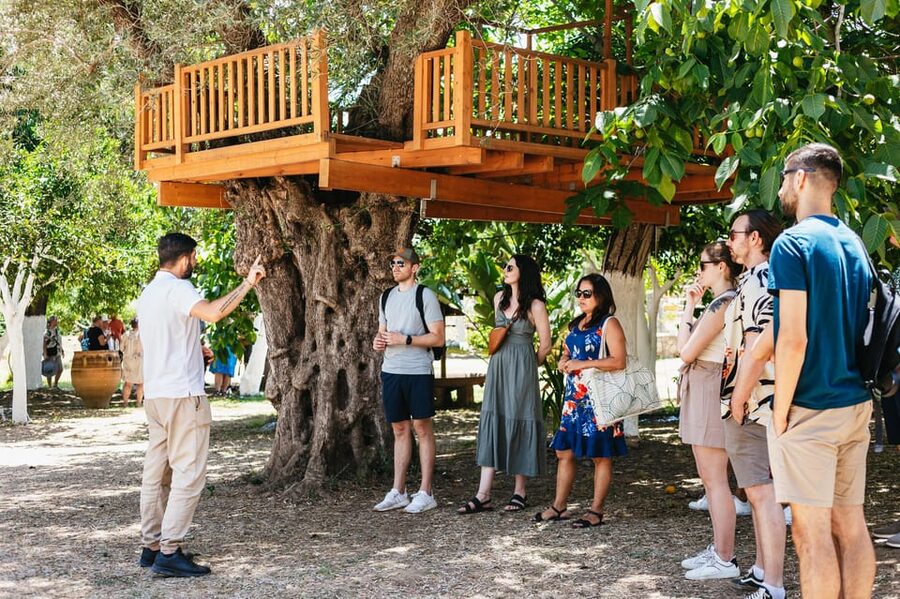 From Chania: Wine and Olive Oil Tasting Tour with Snacks - Key points to know before booking