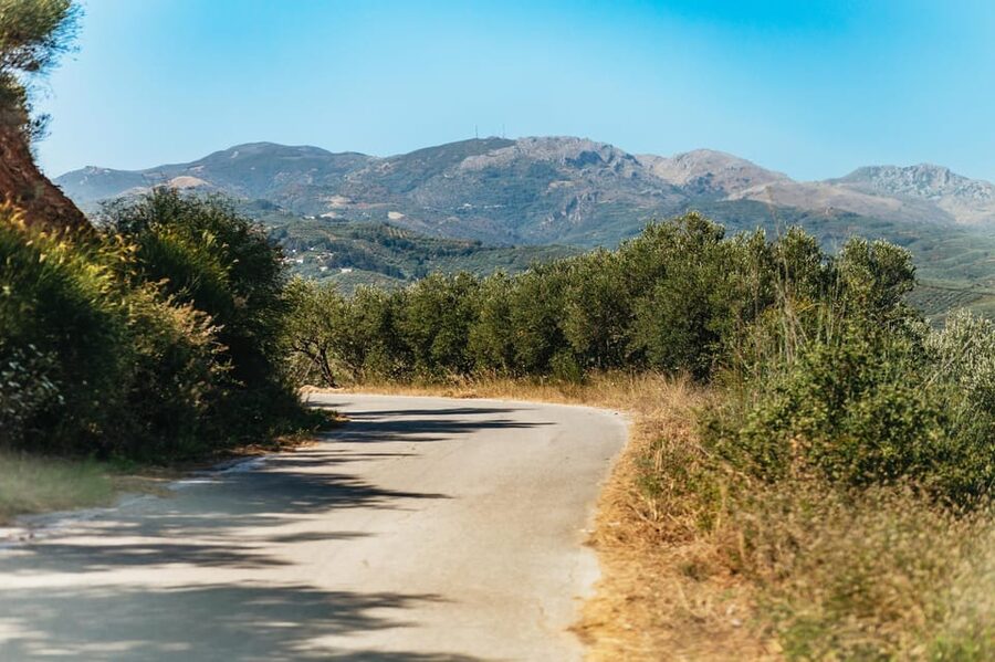 From Chania: Wine and Olive Oil Tasting Tour with Snacks - The second winery and the white blend
