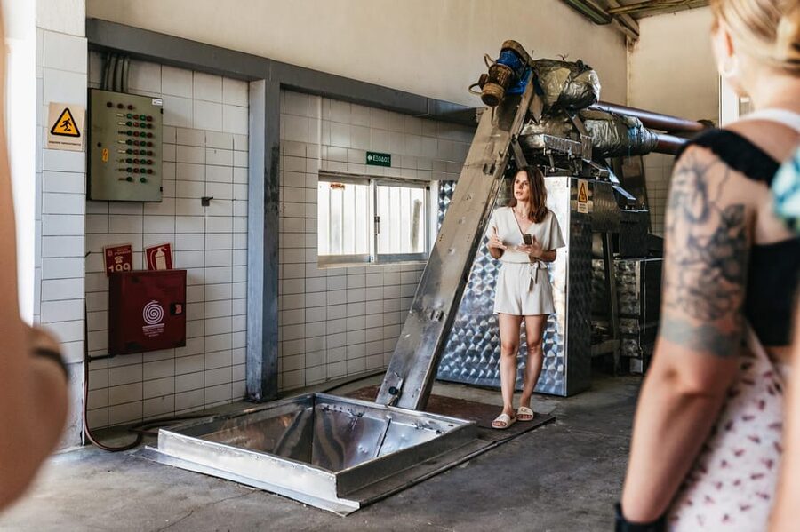 From Chania: Wine and Olive Oil Tasting Tour with Snacks - Price, pace, and who gets good value