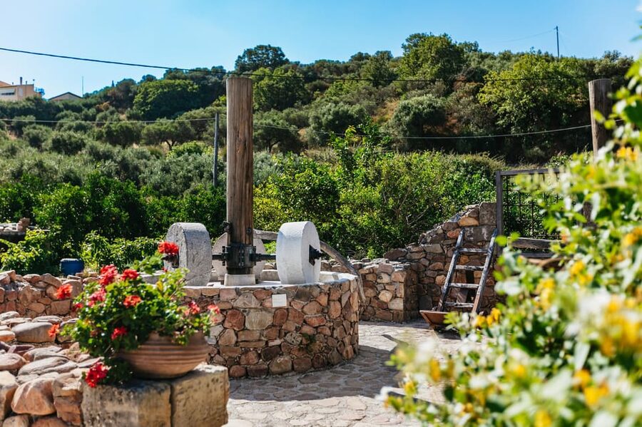 From Chania: Wine and Olive Oil Tasting Tour with Snacks - Should you book this tour?