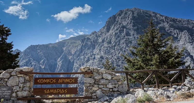 From Heraklion,Agia Pelagia,Malia: Samaria Gorge Guided Trip - Walking through Samaria Gorge over five to six hours