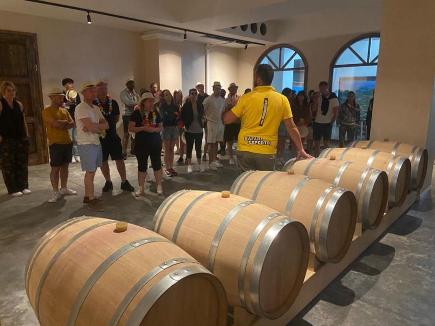 From Heraklion: Matala Beach - Caves & winery Full Day tour - Is the $110 price fair?