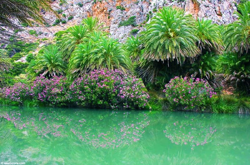 From Rethymno/Chania: Day Trip to Preveli Palm Beach - Should you book this day trip?