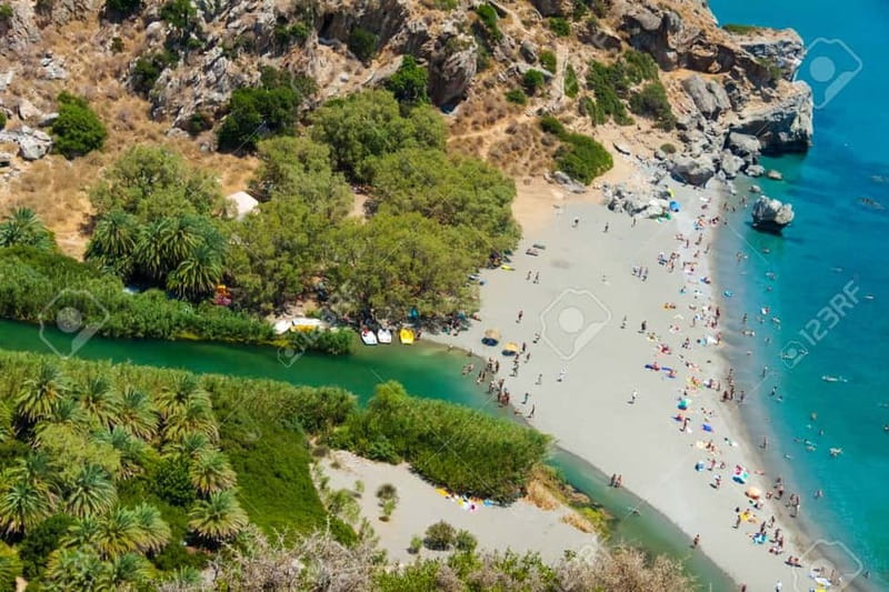 From Rethymno/Chania: Day Trip to Preveli Palm Beach - Preveli Beach, the palm forest, and the river