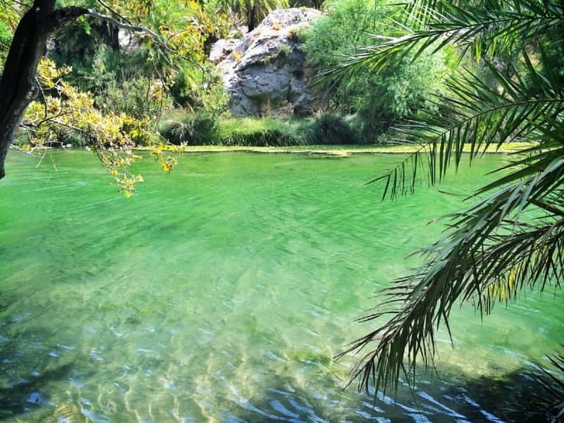 From Rethymno/Chania: Day Trip to Preveli Palm Beach - Kourtaliotiko Gorge adds the best walking