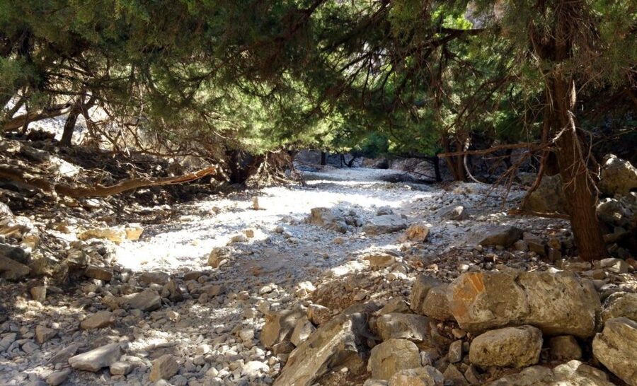 From Rethymno/Chania: Imbros Gorge Hike - Why Imbros Gorge Works So Well as a Day Trip