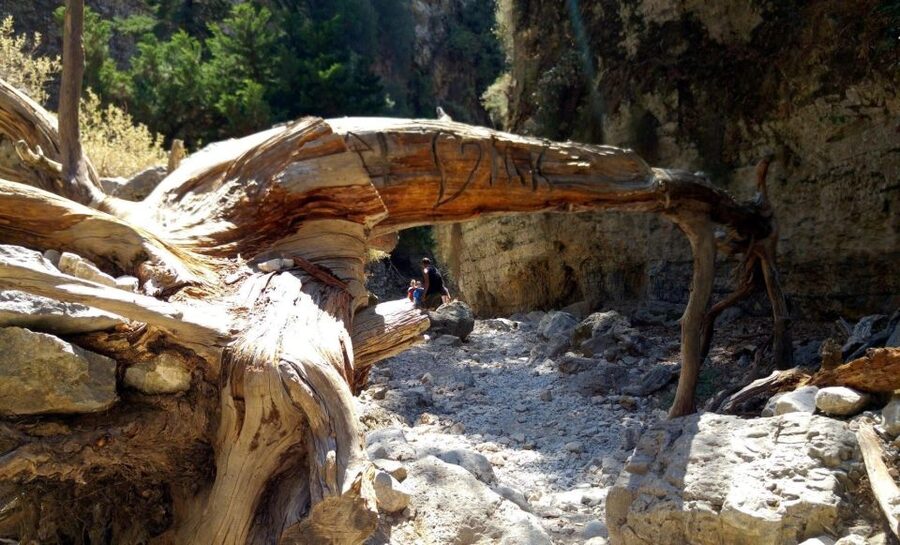 From Rethymno/Chania: Imbros Gorge Hike - Should You Book the Imbros Gorge Tour?
