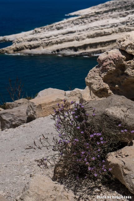 From Rethymno: Day trip to MATALA - AG.GALINI - SPILI - Key points at a glance
