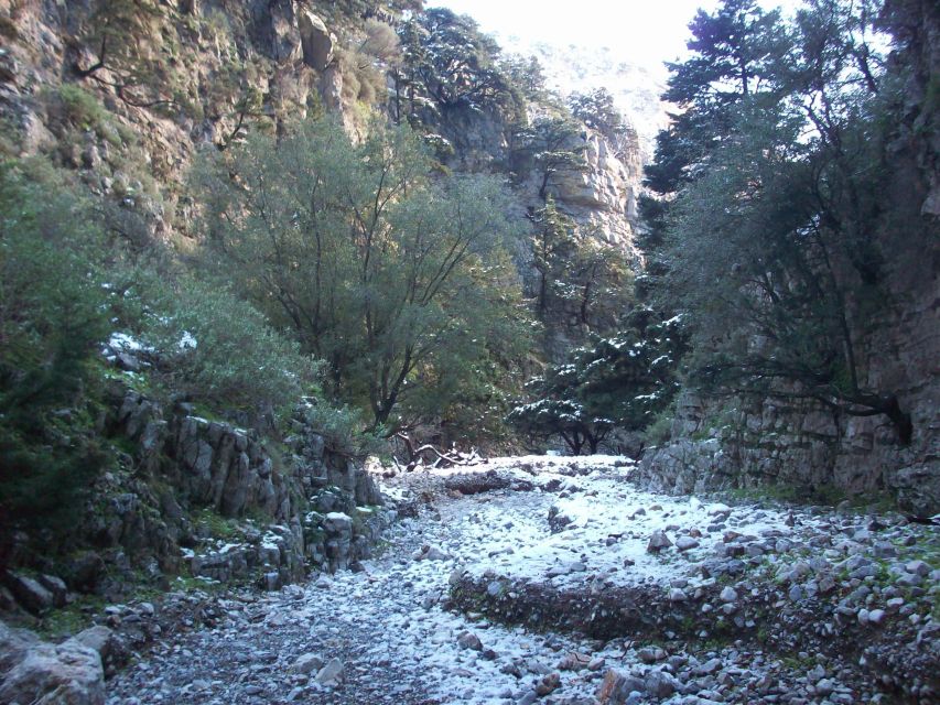 From Rethymno: Imbros Gorge & Libyan Guided Sea Tour - Key points to know before booking