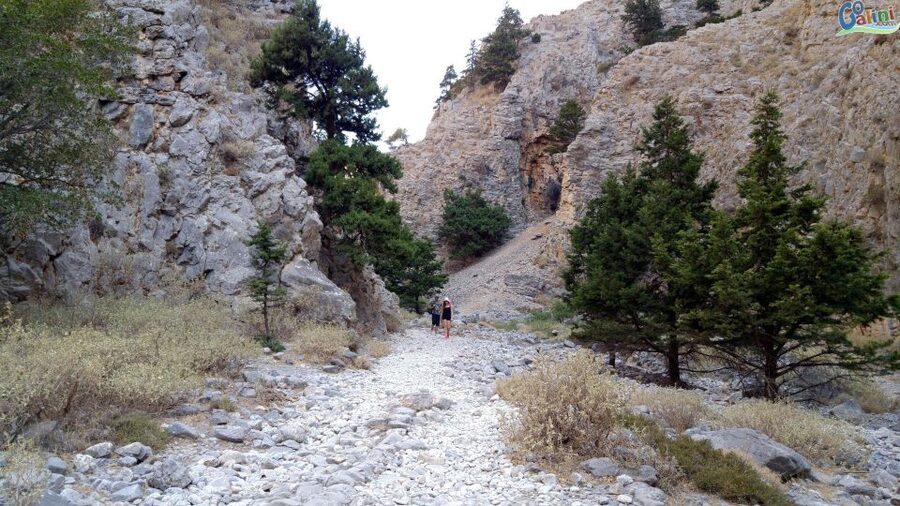 From Rethymno: Imbros Gorge & Libyan Guided Sea Tour - Komitades marks the end of the walk