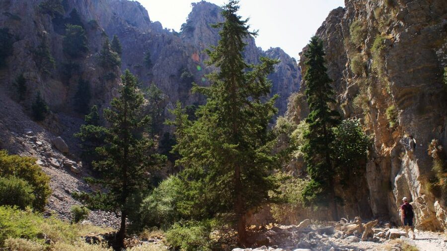 From Rethymno: Imbros Gorge & Libyan Guided Sea Tour - Who will enjoy this Crete day trip