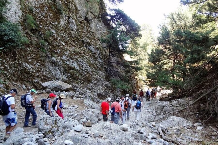 From Rethymno: Imbros Gorge & Libyan Guided Sea Tour - What to pack for a smoother day