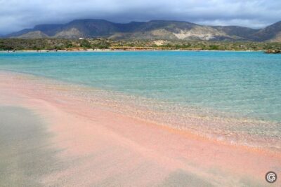 Elafonisi Island Pink Sand Beach Tour