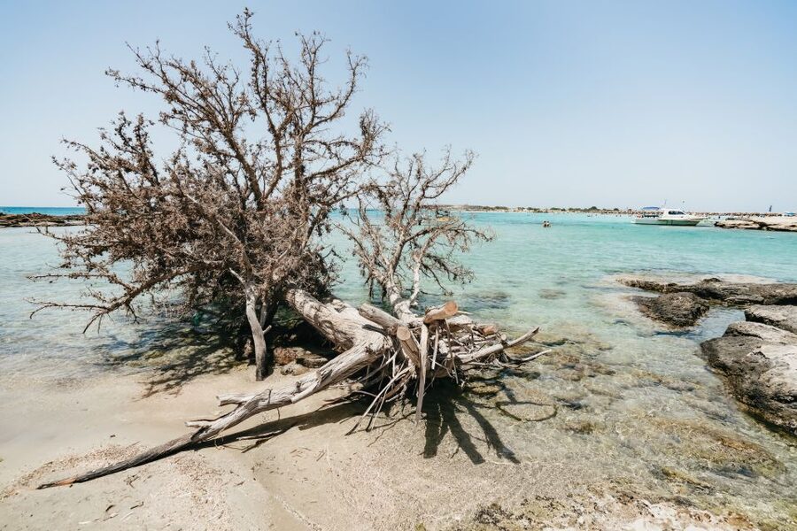 From Rethymno/Kavros: Elafonissi Pink Sand Beach Tour - The morning road from Rethymno to Elos