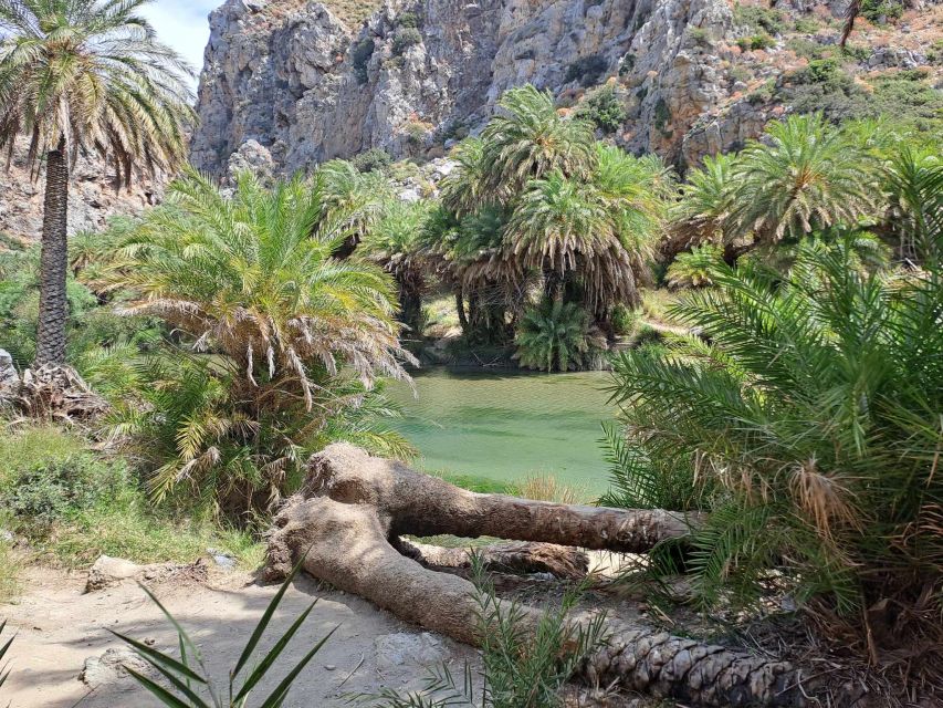 From Rethymno: Kourtaliotiko, Preveli Palm Beach, & Damnoni - Lunch and swimming at Damnoni