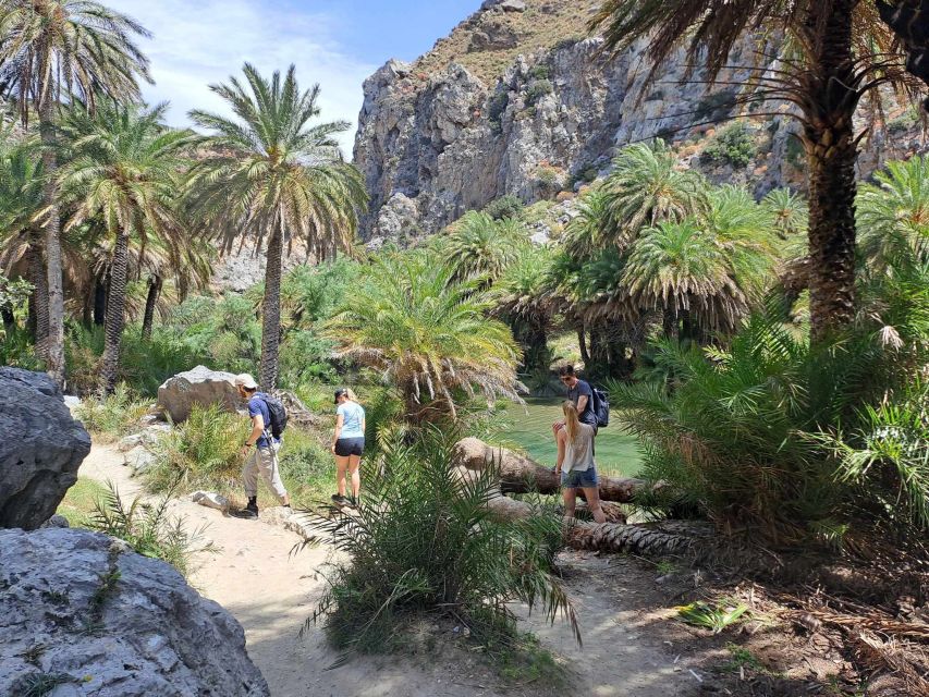 From Rethymno: Kourtaliotiko, Preveli Palm Beach, & Damnoni - The pace, guide, and bus experience