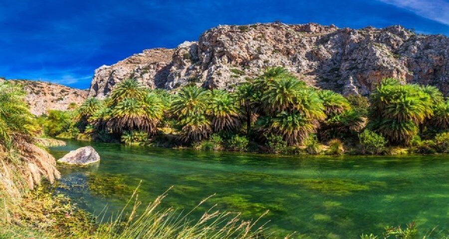 From Rethymno: Preveli Palm Beach and Kourtaliotiko Day Trip - The boat from Damnoni to Preveli