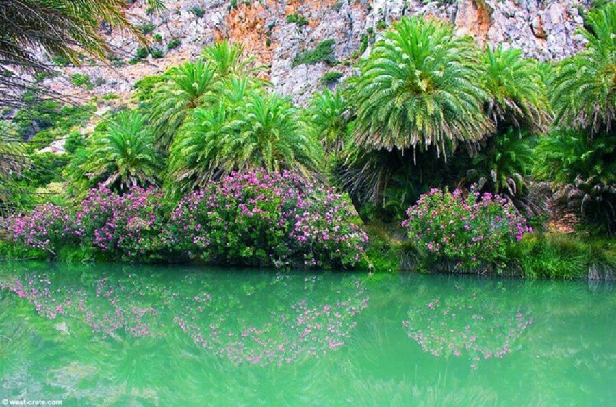 From Rethymno: Preveli Palm Beach and Kourtaliotiko Day Trip - Who will enjoy this tour most