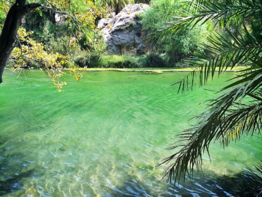 From Rethymno: Preveli Palm Beach and Kourtaliotiko Day Trip - Should you book the Preveli day trip?