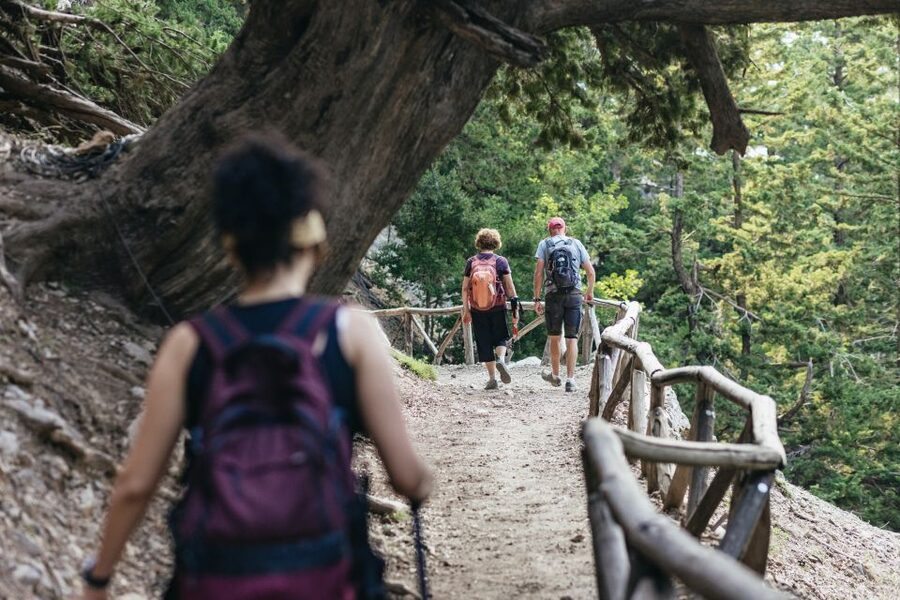 From Rethymno: Samaria Gorge Full-Day Trek, Pickup & Guide - A five to six-hour walk over stone and water