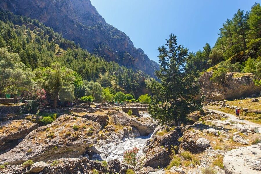 From Rethymno: Samaria gorge with Professional Hiking Guide - The early start from Rethymno or Chania