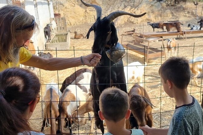 Full Day 4x4 Self-Drive Safari Tour in Crete with BBQ Lunch - Bouncing up ancient Minoan paths