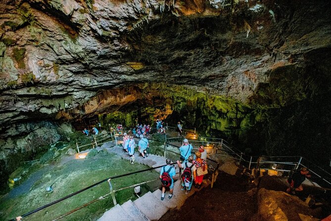 Full-Day/Half-Day Tour : Lasithi Plateau & Knossos Palace - Timing, group size, and comfort on the road