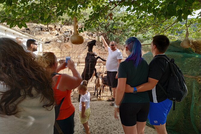 Full-Day Jeep Safari Tour with Cooking Lesson - Lasithi windmills and the high plateau