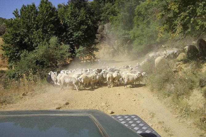 Full-Day Land Rover Safari from Heraklion with Lunch - A Cretan tavern lunch with wine