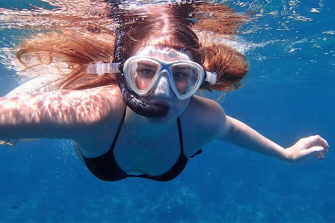 Full Day Private Minivan Tour to Elafonisi Beach and kedrodasos - A flexible lunch stop in Topolia
