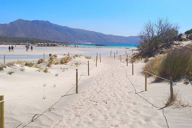 Full Day Private Minivan Tour to Elafonisi Beach and kedrodasos - What the private minivan adds