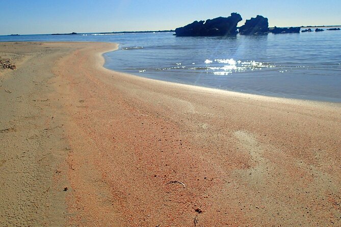 Full Day Private Minivan Tour to Elafonisi Beach and kedrodasos - Timing, comfort, and who should book
