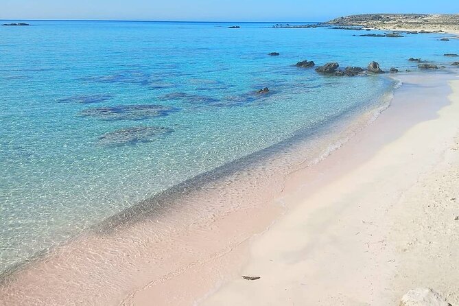 Full Day Private Minivan Tour to Elafonisi Beach and kedrodasos - Price, cancellation, and practical value
