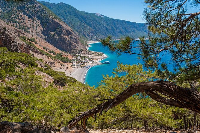 Full-Day Samaria Gorge Chania Guided Tour - The ferry to Sougia and coach ride to Chania