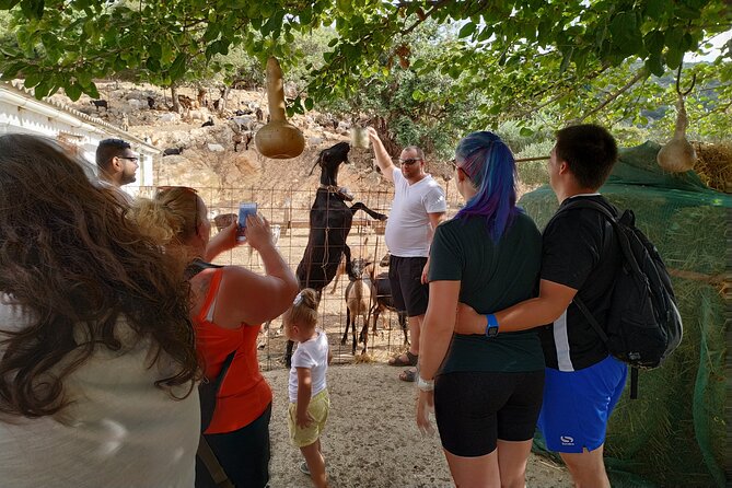 Full-Day Small-Group Tour in Crete with Zeus Cave Visit - Potamies: goats, cheese, and the taste of rural Crete