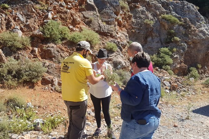 Full-Day Small-Group Tour in Crete with Zeus Cave Visit - Lunch in Ano Kera, with food made the Cretan way