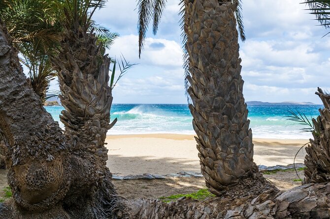Full-Day Tour to Vai Palm Beach, Toplou Monastery, and Sitia Town - What the $58.07 price really covers