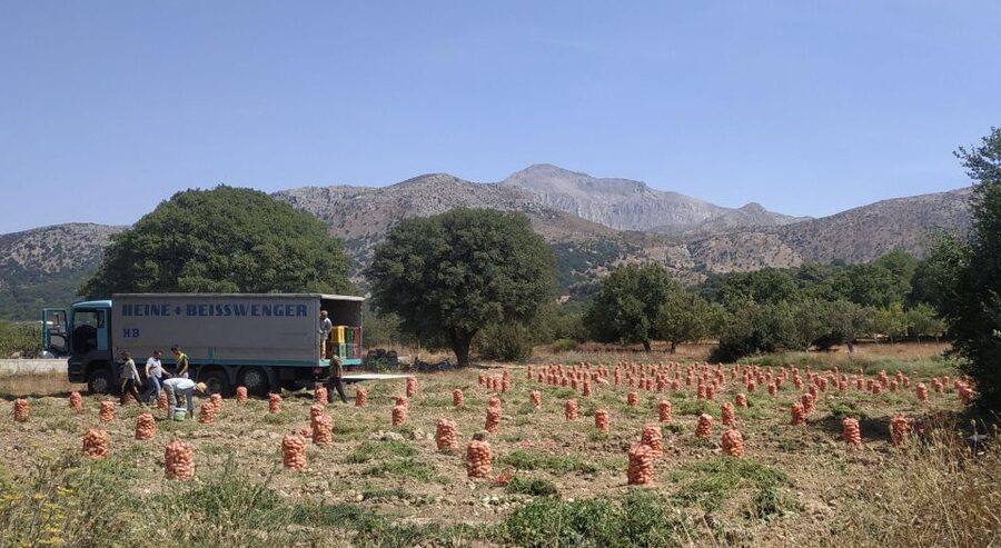 Full Day trip to Spinalonga and Lasithi Plateau Land of Zeus - The Lasithi Plateau and Diktaion Andron