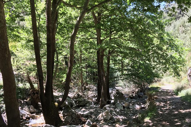 Fygou and Agia Irini Gorge Loop Half Day Hiking Tour - A quiet route through Chania’s high country