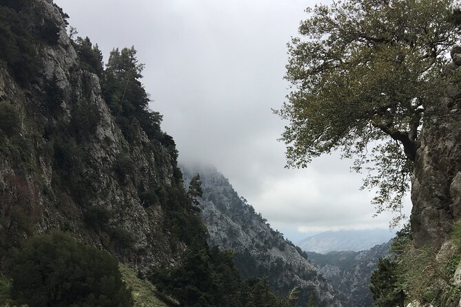 Fygou and Agia Irini Gorge Loop Half Day Hiking Tour - Who will enjoy this hike most