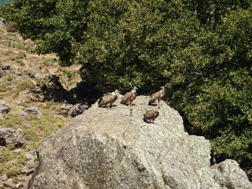 Georgioupolis Full-Day Land Rover Safari Experience - The White Mountains are the real adventure