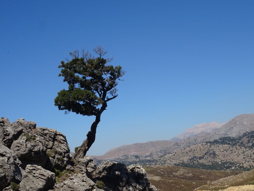 Georgioupolis Full-Day Land Rover Safari Experience - The olive oil factory explains a daily staple
